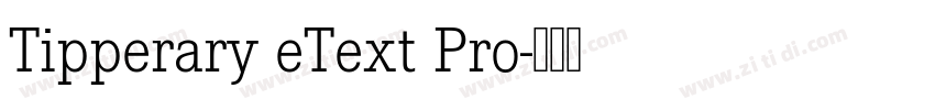 Tipperary eText Pro字体转换